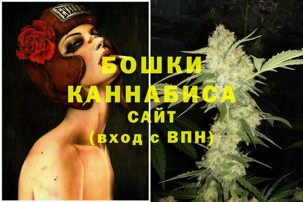 индика Белая Холуница
