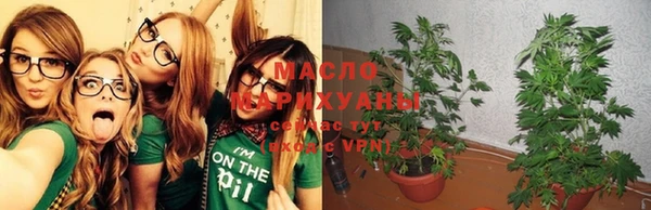 2c-b Новозыбков
