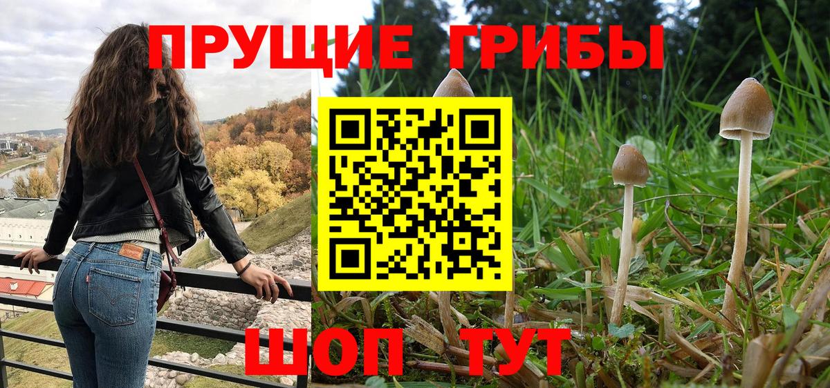 Галлюциногенные грибы прущие грибы  Вход с VPN  Стерлитамак 