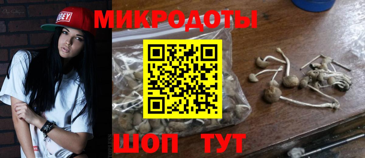 Галлюциногенные грибы Psilocybe Стерлитамак